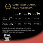 Cesar Clássicos terrina para cães – Pack 8, , large image number null